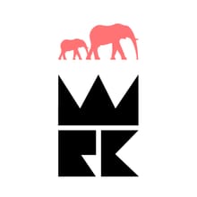 Juneteenth 5K at Brooklyn Bridge Park logo