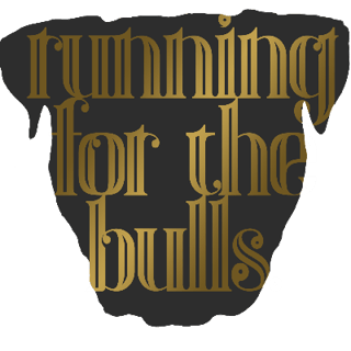 14th Annual Running for the Bulls Logo