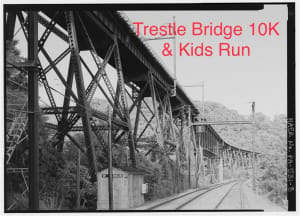 The Trestle Bridge Run Logo