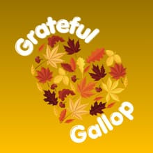 Fleet Feet Poughkeepsie's 2026 Grateful Gallop 5K to Benefit Dutchess Outreach logo