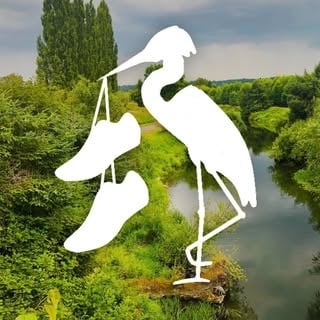 Lake Sammamish Run Club logo