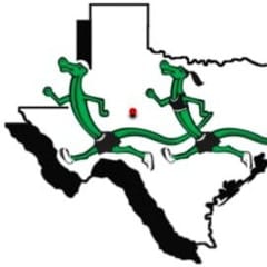 San Angelo Road Lizards logo