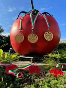 Pittston City Tomato Festival 5k Walk & Race logo