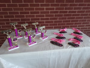 Pink Heals Eastern Alabama Cancer...Runaway 5K Run/Walk Logo