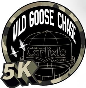 Wild Goose Chase 5K Logo