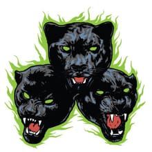 Wildcat logo