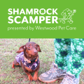 Shamrock Scamper logo