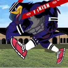 Runnin' with the Nighthawks 5K & 1M Fun Run Timed Events logo