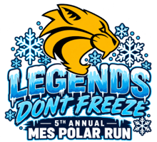 Advent Therapy presents the MES Polar Run 2027 logo