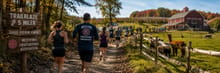 Trailblaze 5 Miler logo