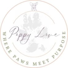 Poppy Love 5K- "In Memory of Poppy" logo