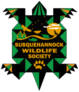 Turtle Derby 5k Trail Race Logo