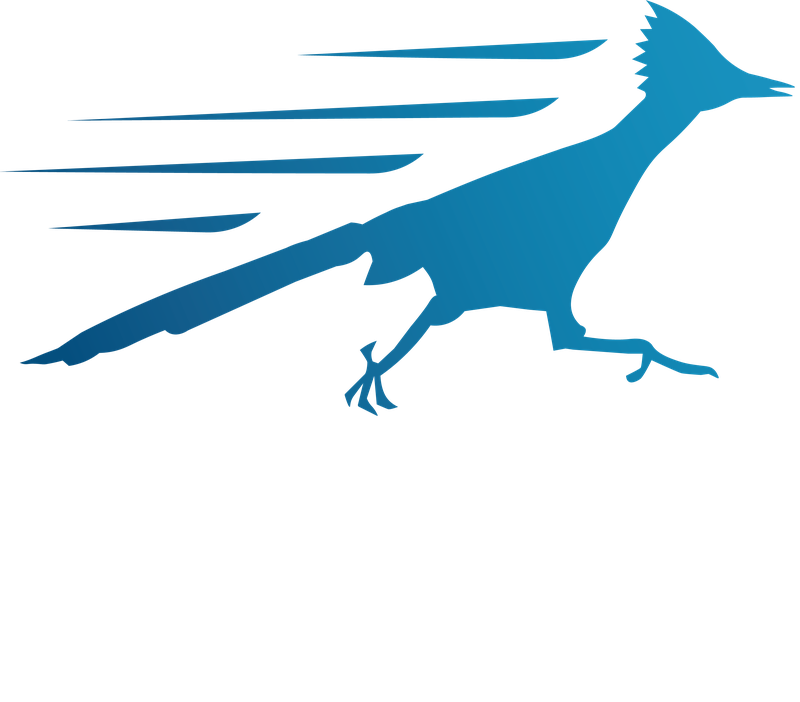 2027 Mesa Marathon logo