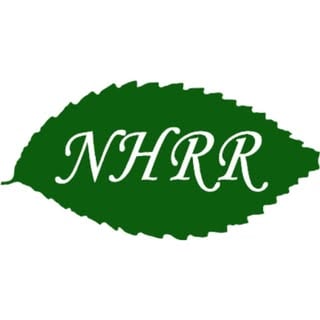 New Haven Road Runners logo