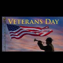 Veterans Day 5K walk /run logo