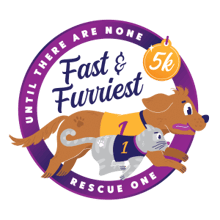 Fast and Furriest 5k Year 13 logo