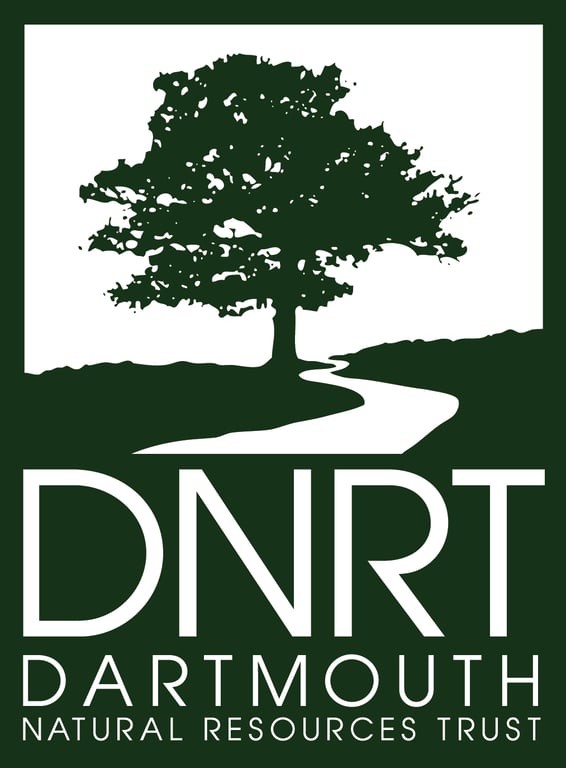 DNRT Trail Race logo