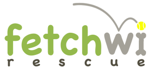 Fetch 5K Logo