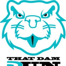 That Dam Run 13.1, 10K, 5K logo