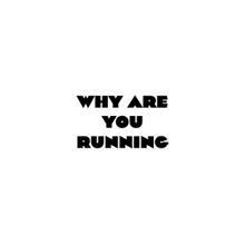 Diaspora Run: Utah Capitol Lawn Takeover logo