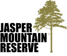 Jasper Mountain Trail Fest 2027 logo