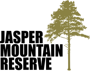Jasper Mountain Trail Fest 2027 Logo
