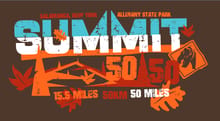 Nelson's Summit 50/50 logo