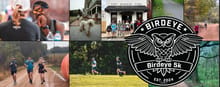 Birdeye-5k logo