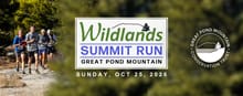Wildlands Summit Run logo