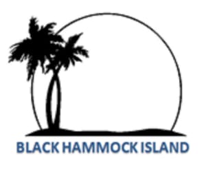 BHI 2nd Annual 5K & Fun Run Logo