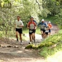 2027 Napa Valley Trail Marathon, Half Marathon, 10K & 5K logo