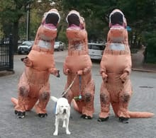 Richmond T. Rex Run logo