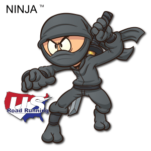 Ninja 5K, 10K, & Half Marathon at Lake Beresford Park, Deland, FL (32) 40 Logo
