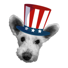 Winnie's Way 5k Rescue Run logo