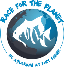 Race for the Planet logo
