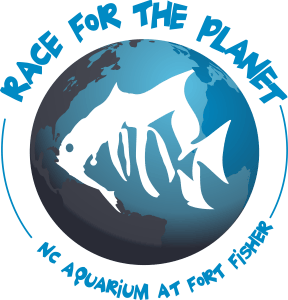 Race for the Planet Logo
