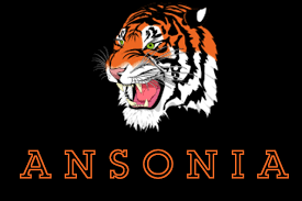 Ansonia Local Schools 5K Logo