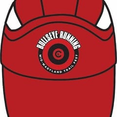 Coach Lang, LLC dba Bullseye Running logo