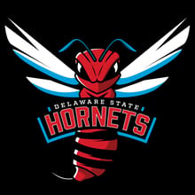 Hornet Hustle Fall Fest 5k logo