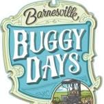 Barnesville Buggython Road Race 5K and 10K logo