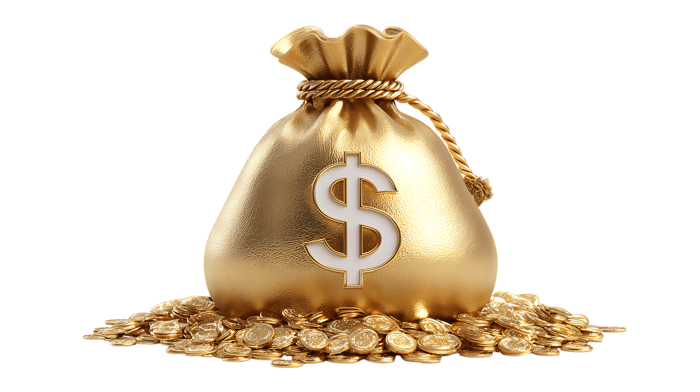 Gold money bag and coins symbolizing wealth, savings, investment, and prosperity.