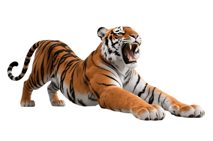 Roaring tiger stretching out its paws