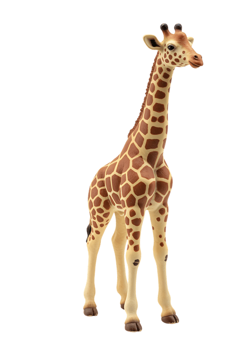 Full body shot of a giraffe with a long neck