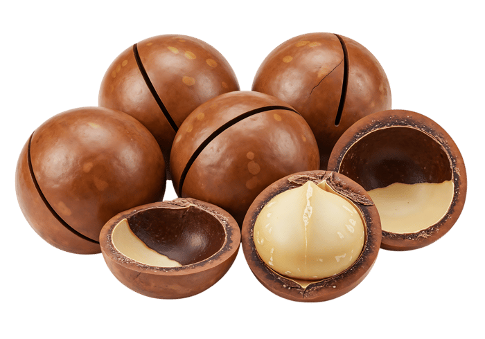 Macadamia nuts, shelled and unshelled, close up.