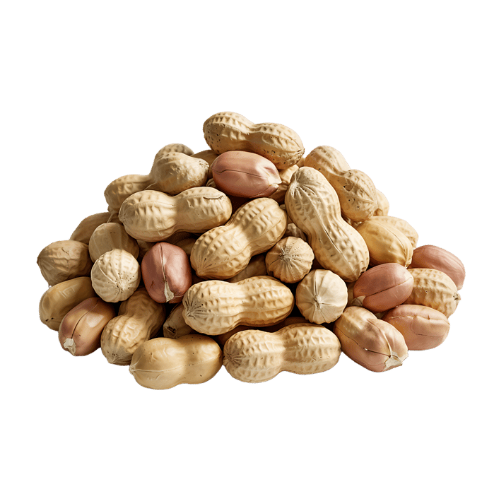 Pile of peanuts in shells, close up view.