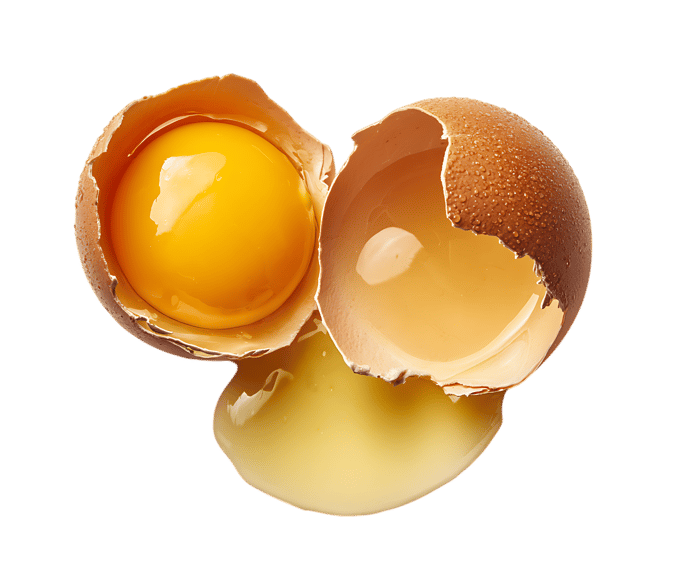 Broken egg yolk and white