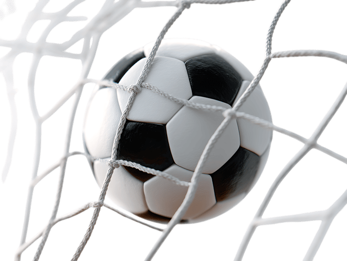 Goal! Soccer ball in net