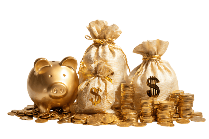 Golden piggy bank, money bags, and coins.