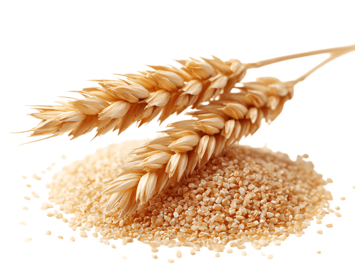 Golden Wheat Grains &amp; Stalks