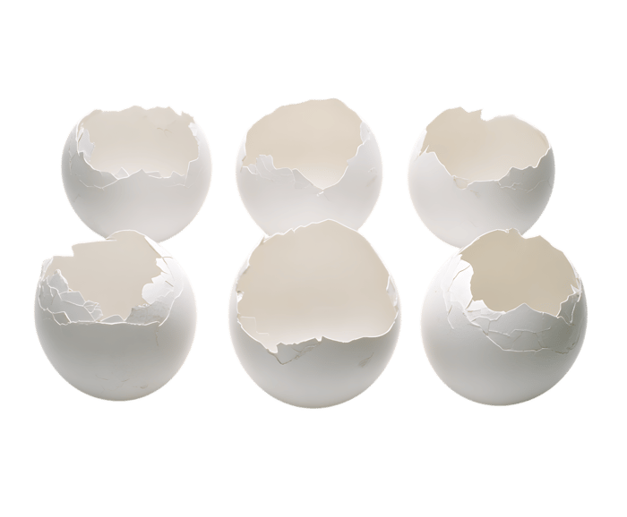 Three pairs of broken eggshells.